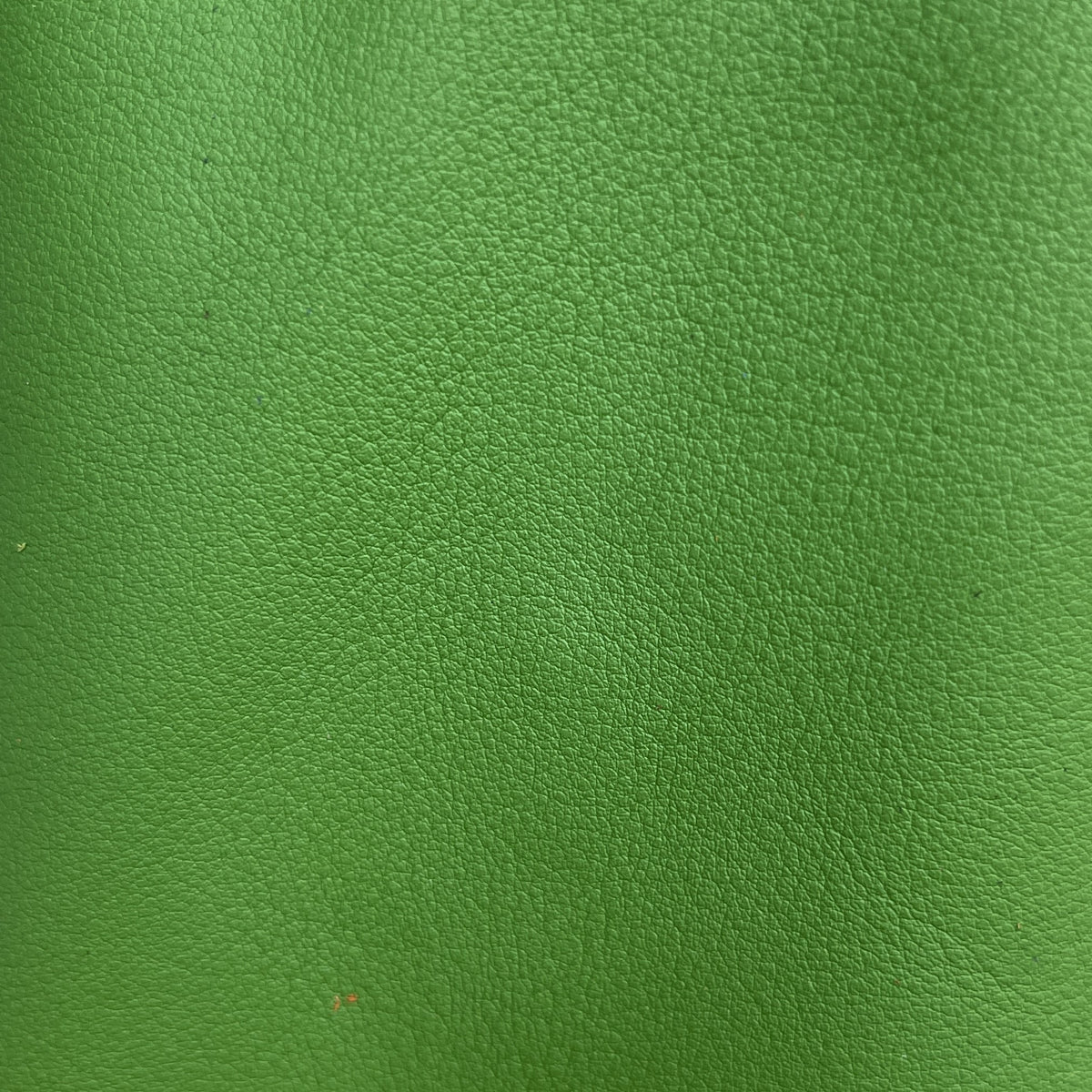 Green Swift Leather Watch Strap