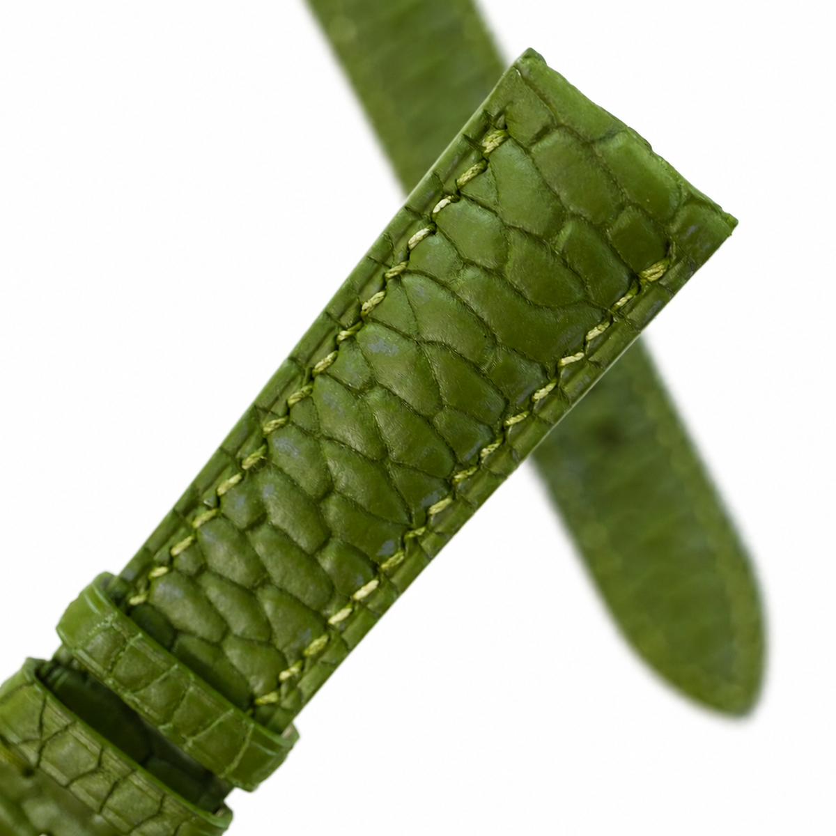 Olive green beaver tail watch strap, close-up of the natural scaled grain
