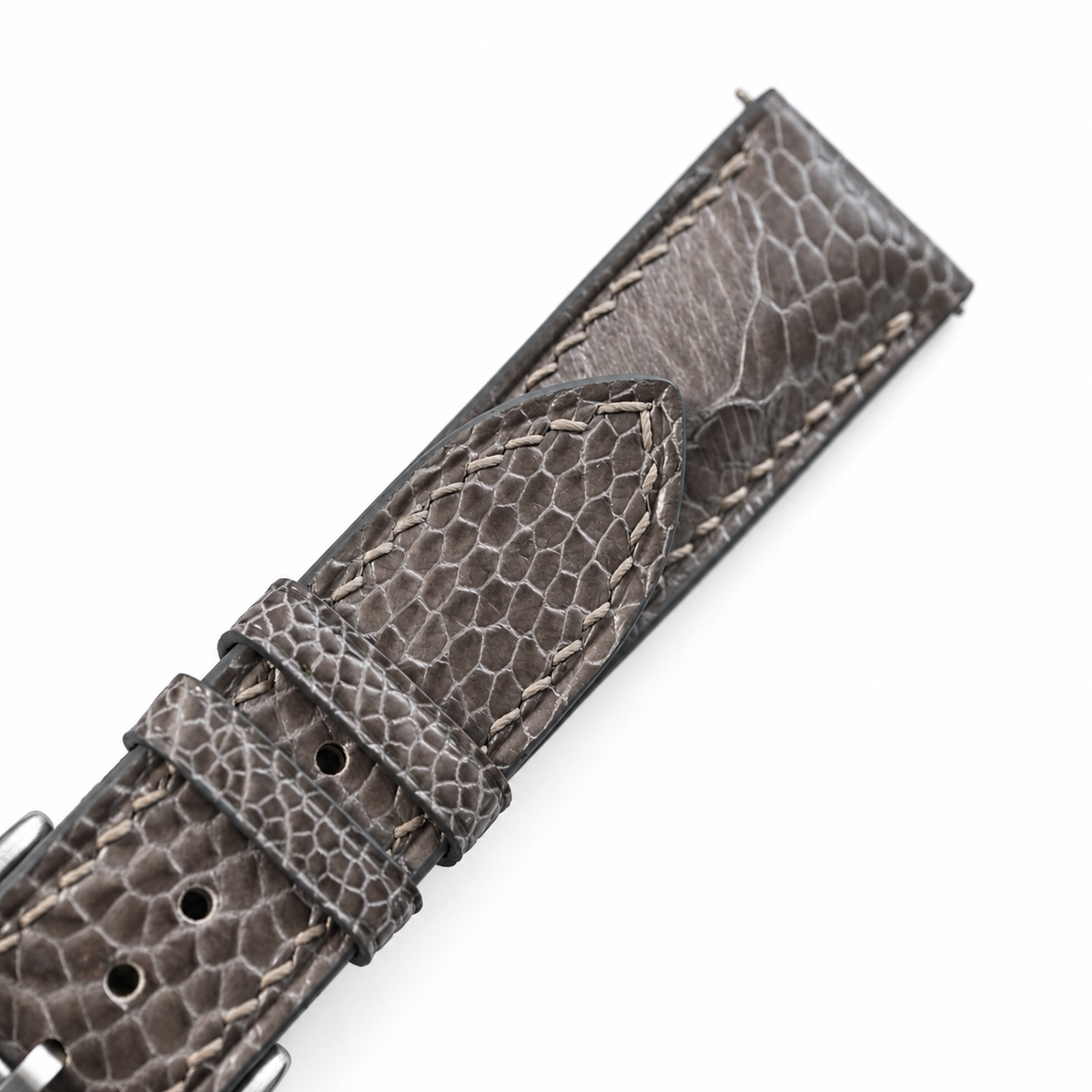 Gray Ostrich Leg strap keepers and ostrich leg grain macro