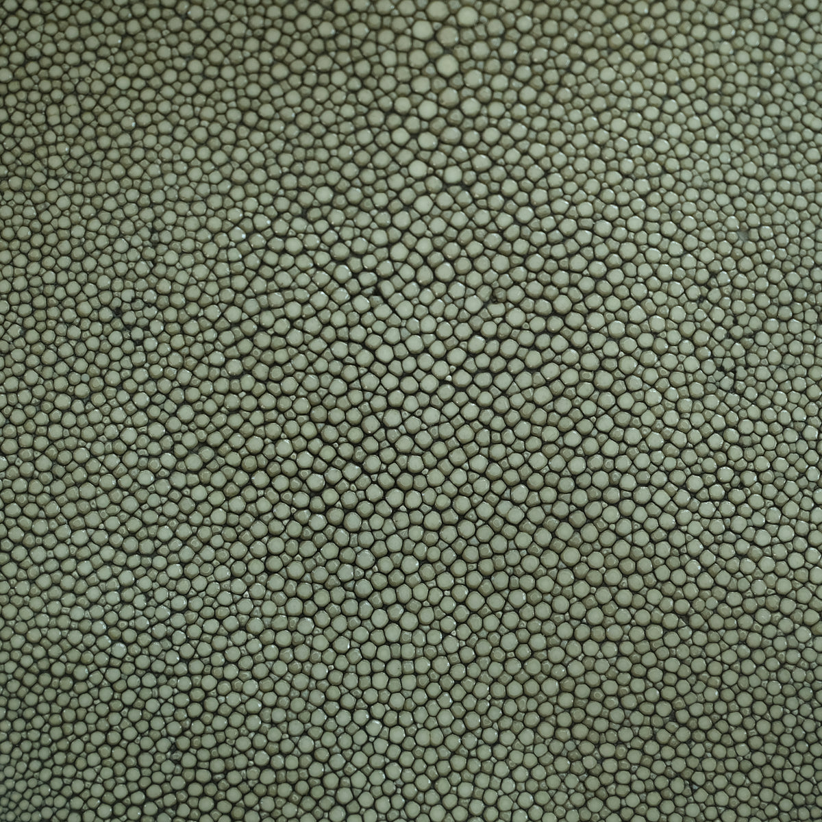 Olive Stingray Leather Watch Strap - Photo 6