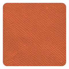 Burnt Orange