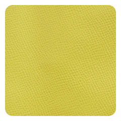 Mustard Yellow