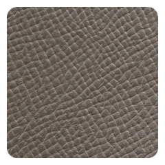 Warm Gray