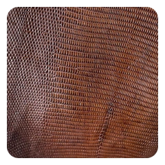 Chocolate Brown