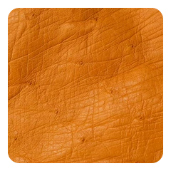 Amber Orange