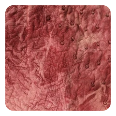 Burgundy Marble
