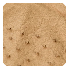 Camel Tan