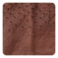 Chestnut Brown
