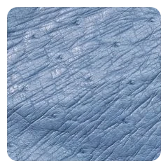Dusty Blue