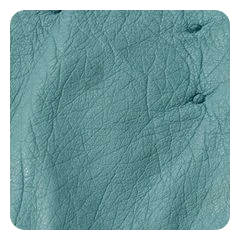 Dusty Teal