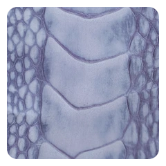 Periwinkle
