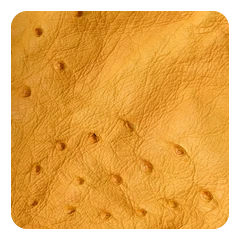 Mustard Yellow