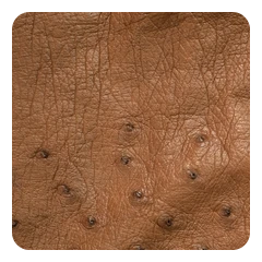 Saddle Brown