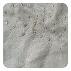 Stone Gray
