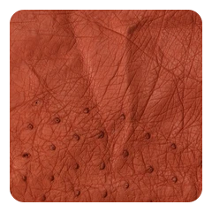 Terracotta