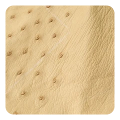 Warm Sand